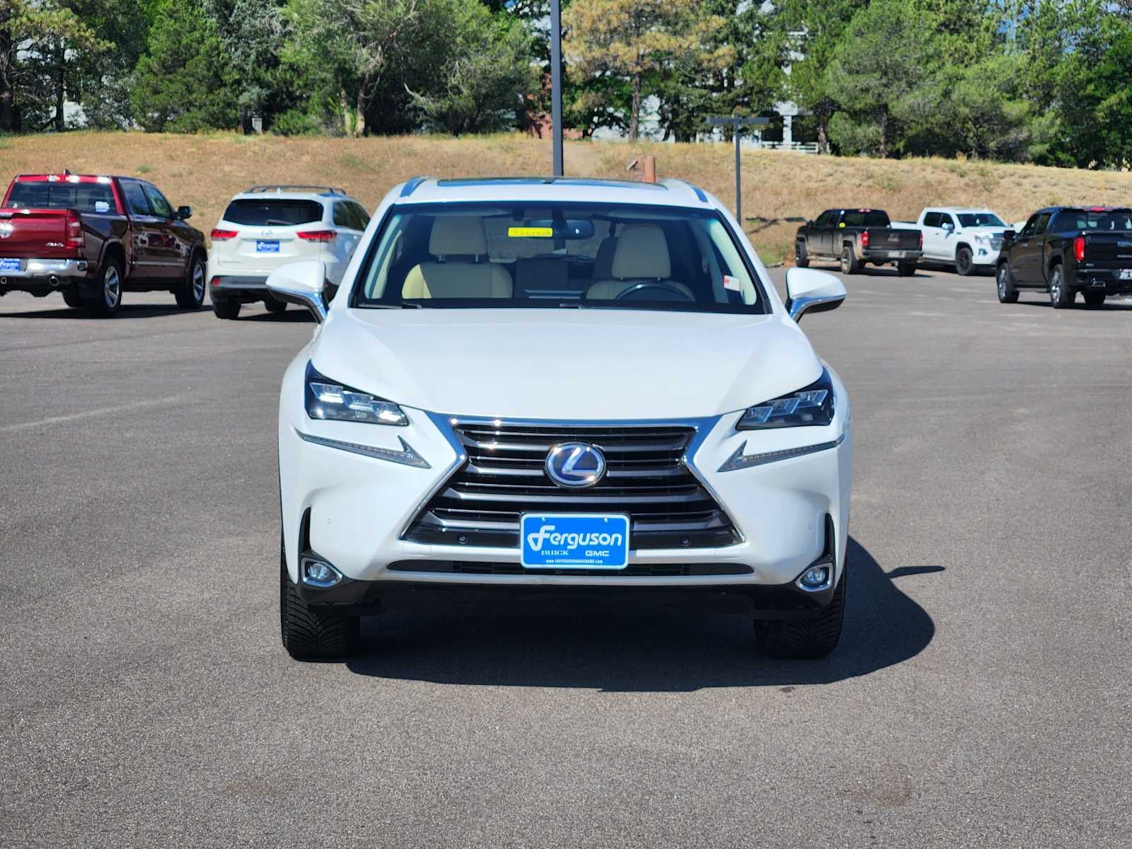 2016 Lexus NX 300h NX 300H AWD